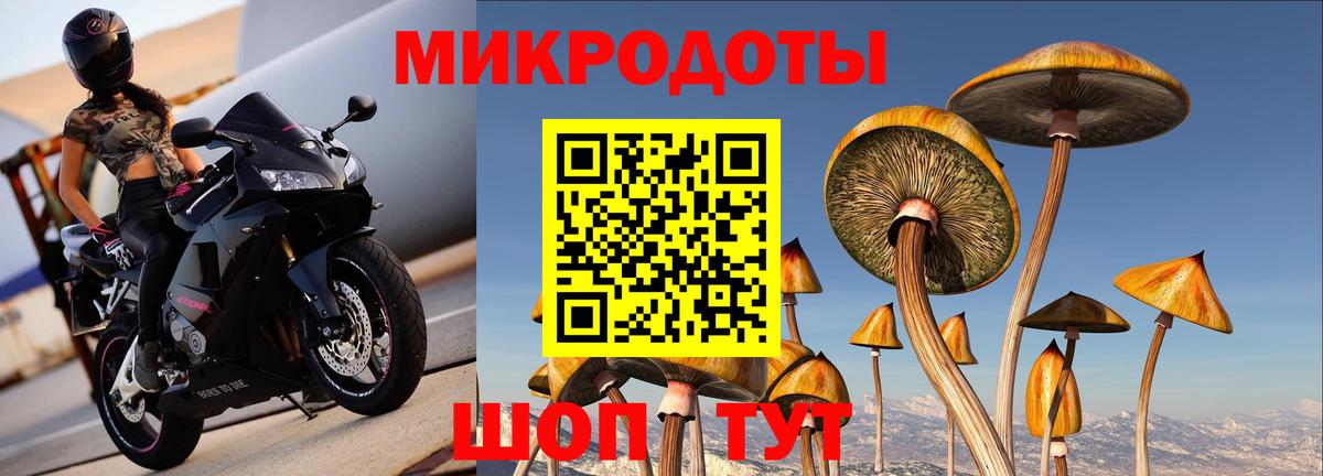 Псилоцибиновые грибы MAGIC MUSHROOMS Ступино
