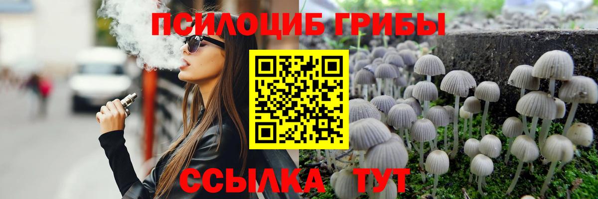 сколько стоит  Псилоцибиновые грибы Cubensis  Псилоцибиновые грибы мицелий  Вход с VPN  Ступино 